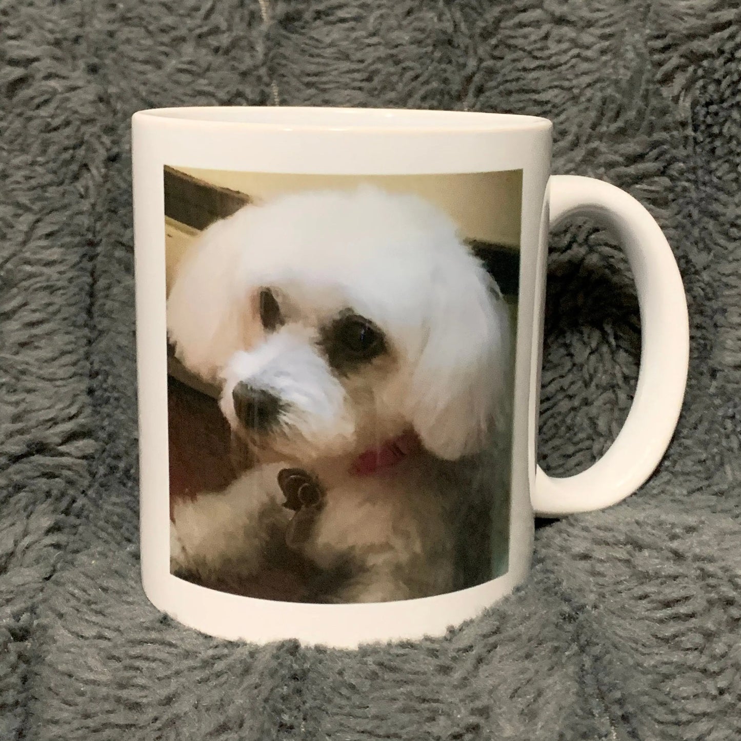 Yorkie Gifts for Dog Mom, Dog Lover Mug - 11 oz. - Busybee Creates