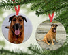 Custom Pet Portrait for Dog Lover, Personalized Dog Ornaments for Pet Mom