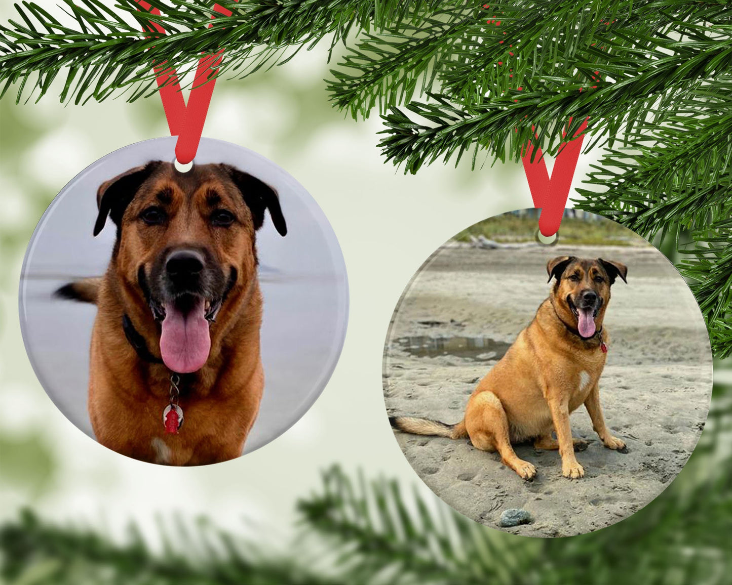 Custom Dog Ornament, Photo Decor for Pet Owners